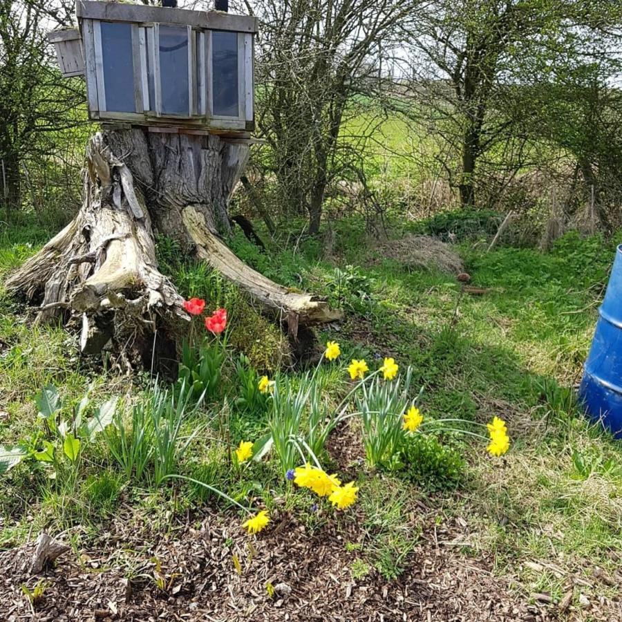 Romantic Escape Luxury Hobbit House With Hot Tub! Sheerness Kültér fotó